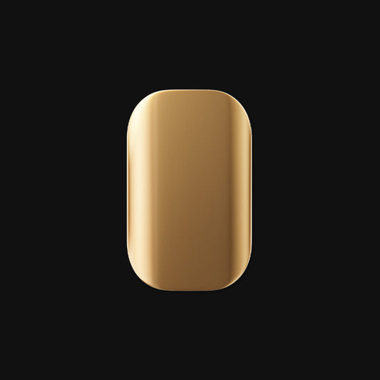 Beetle X31 Portable SSD