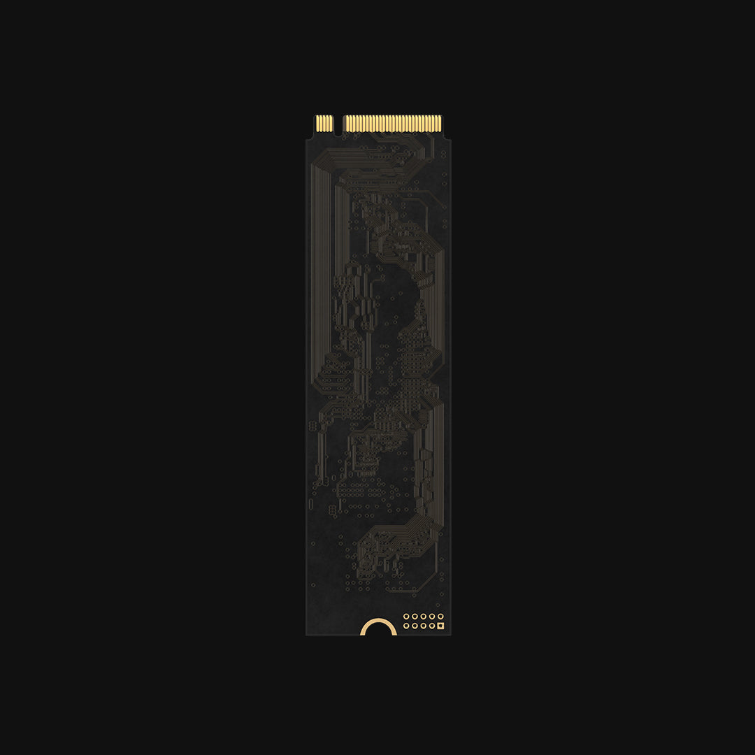 Platinum P41 SSD for AI