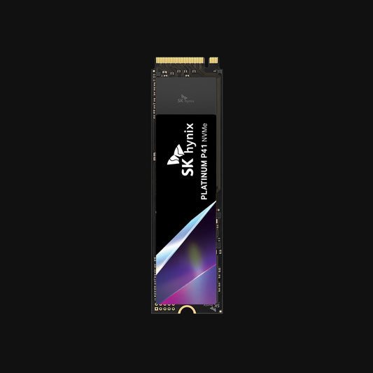 Platinum P41 SSD for AI